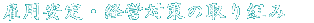 ٗpEoc΍̎g